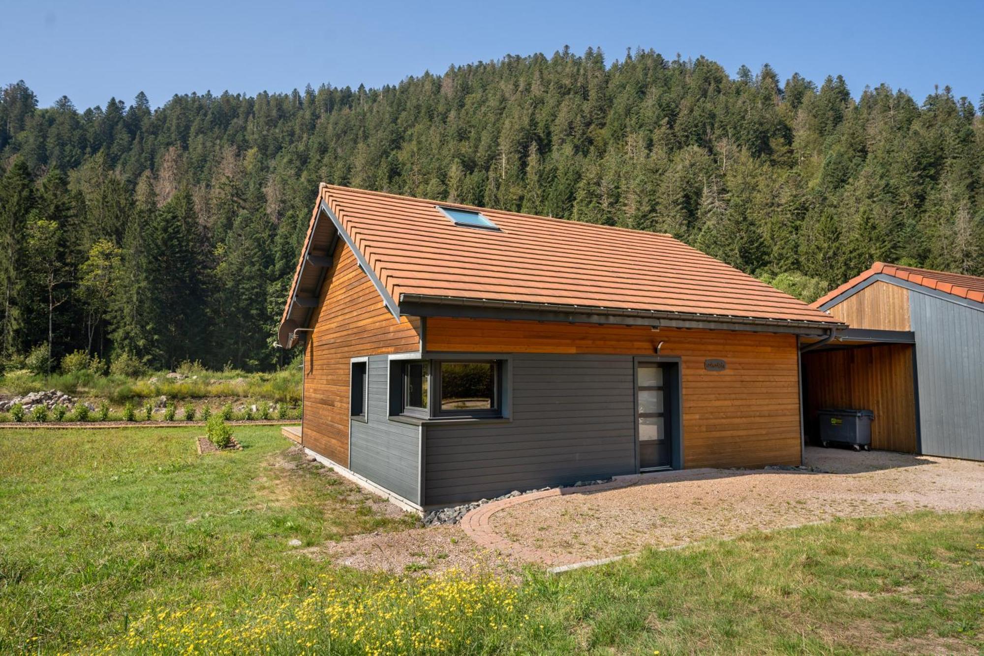 Chalet Nemesia Avec Spa A Gérardmer Εξωτερικό φωτογραφία