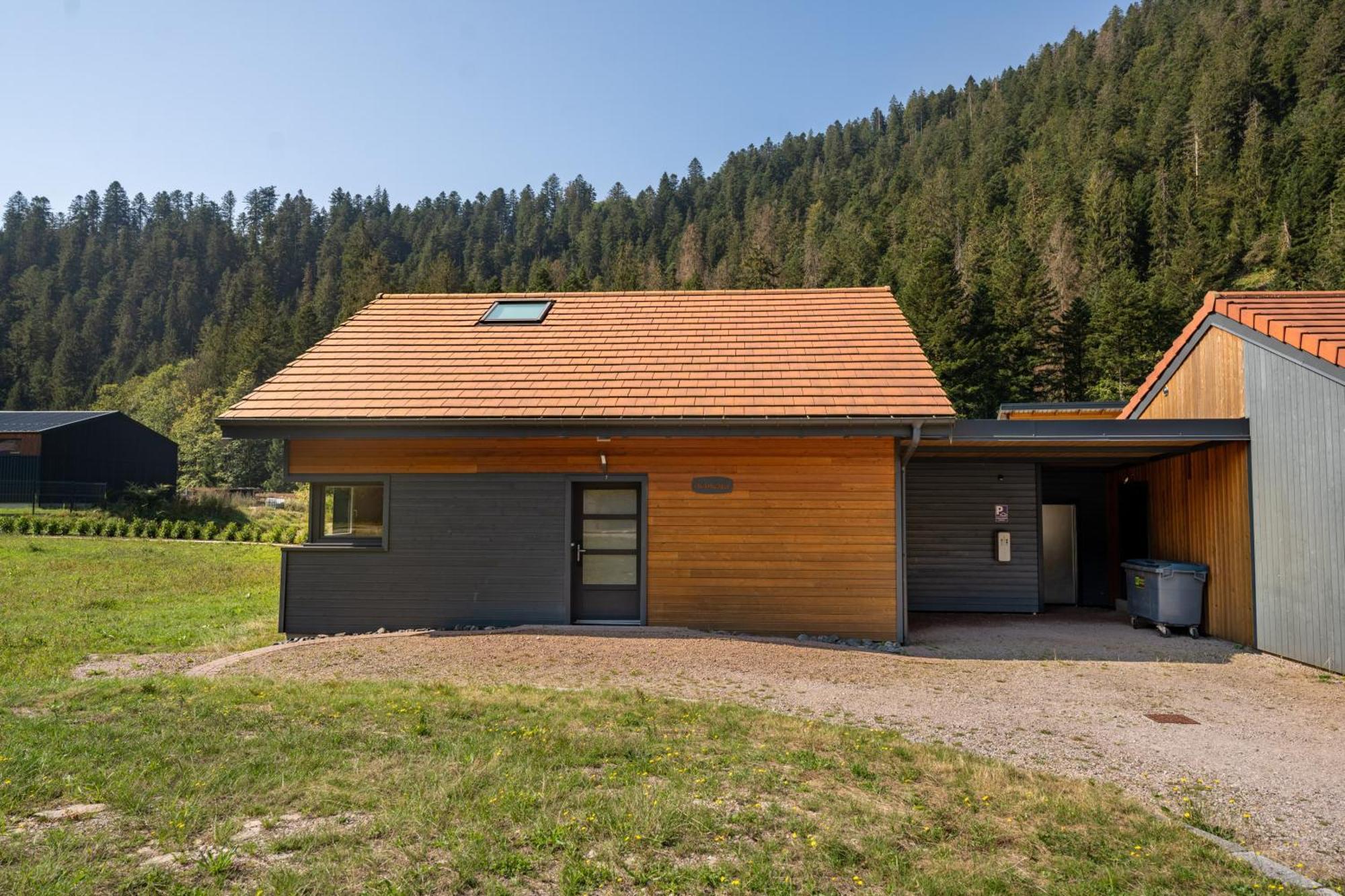 Chalet Nemesia Avec Spa A Gérardmer Εξωτερικό φωτογραφία